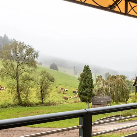 Hasenhof Apartamento Titisee-Neustadt